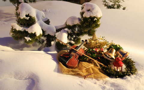 Geige liegt im Schnee